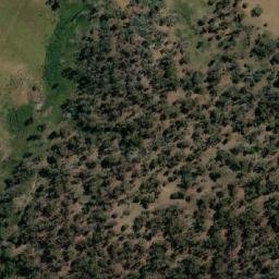 Satellite imagery of Sydenham Hill, AU
