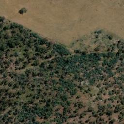 Satellite imagery of Sydenham Hill, AU