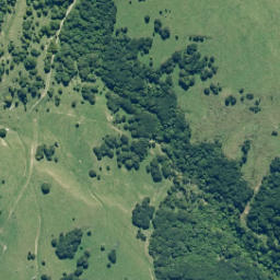 Satellite imagery of Te Ikawhataroa, NZ