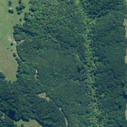 Satellite imagery of Te Ikawhataroa, NZ