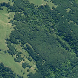 Satellite imagery of Te Ikawhataroa, NZ