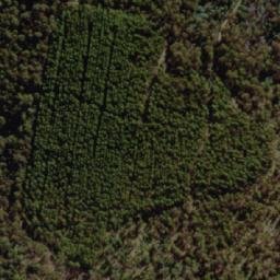 Satellite imagery of Neils Hill, AU