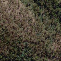 Satellite imagery of Freestone Hill, AU