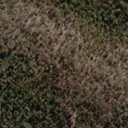 Satellite imagery of Freestone Hill, AU