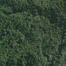 Satellite imagery of Fourteen Mile Bluff, NZ
