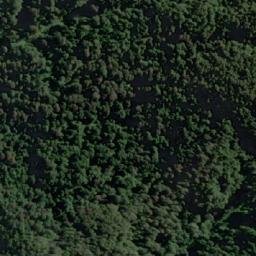 Satellite imagery of Punta Cascada, CL