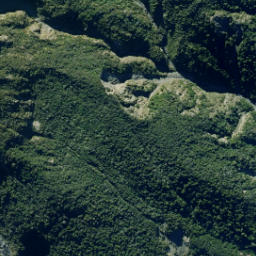 Satellite imagery of Te Rakaomaru Spur, NZ