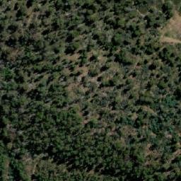 Satellite imagery of Bedding Hill, AU