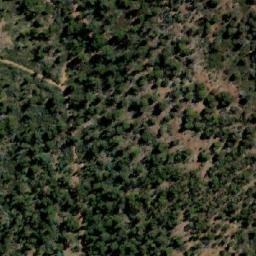 Satellite imagery of Bedding Hill, AU