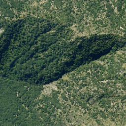 Satellite imagery of Fenceline Spur, NZ