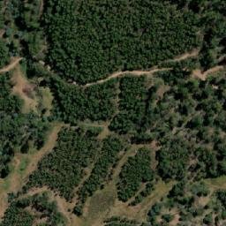 Satellite imagery of Bedding Hill, AU