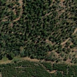 Satellite imagery of Bedding Hill, AU