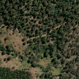 Satellite imagery of Bedding Hill, AU