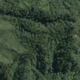 Satellite imagery of Twelve Mile Bluff, NZ
