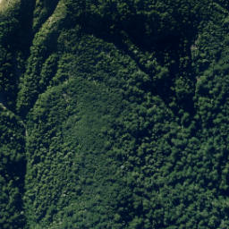 Satellite imagery of Fenceline Spur, NZ