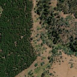 Satellite imagery of Bedding Hill, AU