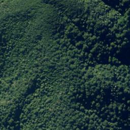 Satellite imagery of Fenceline Spur, NZ
