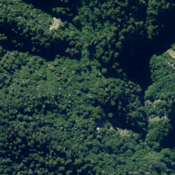 Satellite imagery of Fenceline Spur, NZ