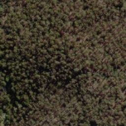 Satellite imagery of Toms Hill, AU