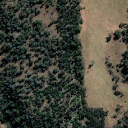 Satellite imagery of Penguin Rock, AU
