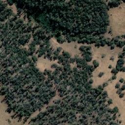Satellite imagery of Penguin Rock, AU