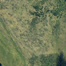 Satellite imagery of CATTLE SPUR, NZ