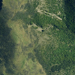 Satellite imagery of CATTLE SPUR, NZ