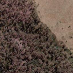 Satellite imagery of Robert Hill, AU