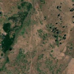 Satellite imagery of The Oak, AU