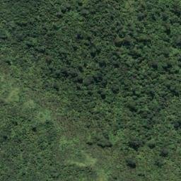 Satellite imagery of Point Elizabeth, NZ