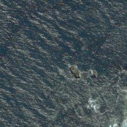 Satellite imagery of Punta Pan de Azúcar, CL