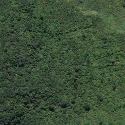 Satellite imagery of Point Elizabeth, NZ