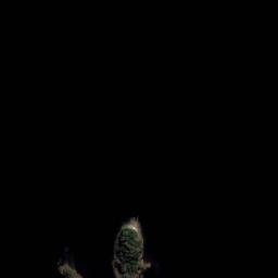 Satellite imagery of Rum Point, AU