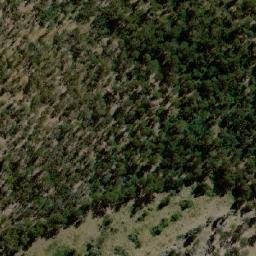 Satellite imagery of Rung Timber Hill, AU