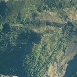 Satellite imagery of Conway Spur, NZ