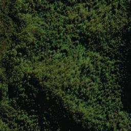 Satellite imagery of Punt Hill, AU