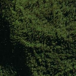 Satellite imagery of Punt Hill, AU