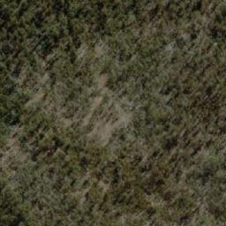 Satellite imagery of Den Hill, AU