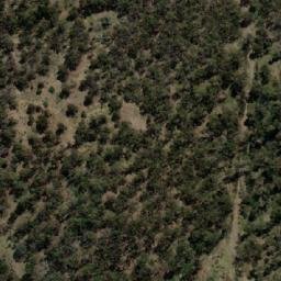 Satellite imagery of Green Timbers, AU