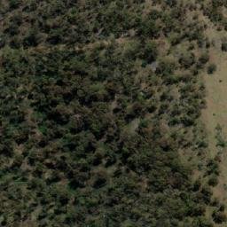 Satellite imagery of Green Timbers, AU