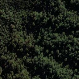 Satellite imagery of Gum Ridge, AU