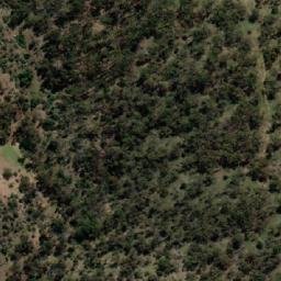 Satellite imagery of Green Timbers, AU