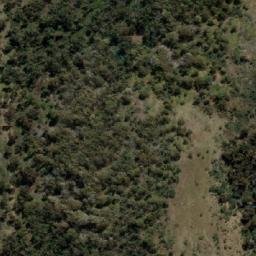 Satellite imagery of Green Timbers, AU