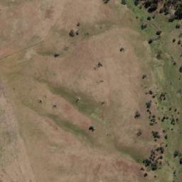 Satellite imagery of Green Timbers, AU