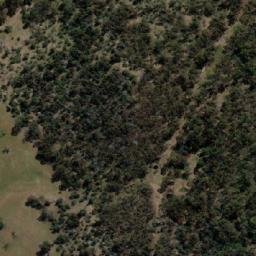 Satellite imagery of Green Timbers, AU