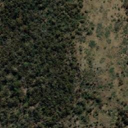 Satellite imagery of Green Timbers, AU