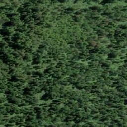 Satellite imagery of Punta Porcelana, CL