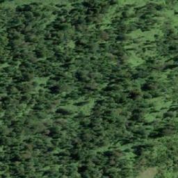 Satellite imagery of Punta Porcelana, CL