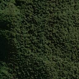 Satellite imagery of Goodwins Peak, AU