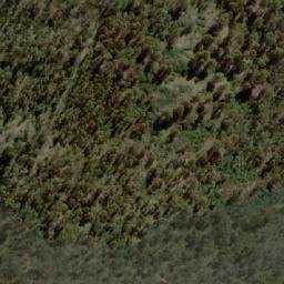 Satellite imagery of Black Tier, AU